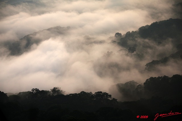 045 IBOUNDJI Mer de Nuages sur la Foret Vus du Mont le Matin 9E5KIMG_51213wtmk.jpg