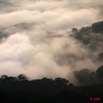 045 IBOUNDJI Mer de Nuages sur la Foret Vus du Mont le Matin 9E5KIMG_51213wtmk.jpg