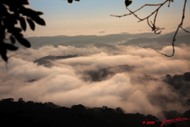 046 IBOUNDJI Mer de Nuages sur la Foret Vus du Mont le Matin 9E5KIMG_51214wtmk.jpg