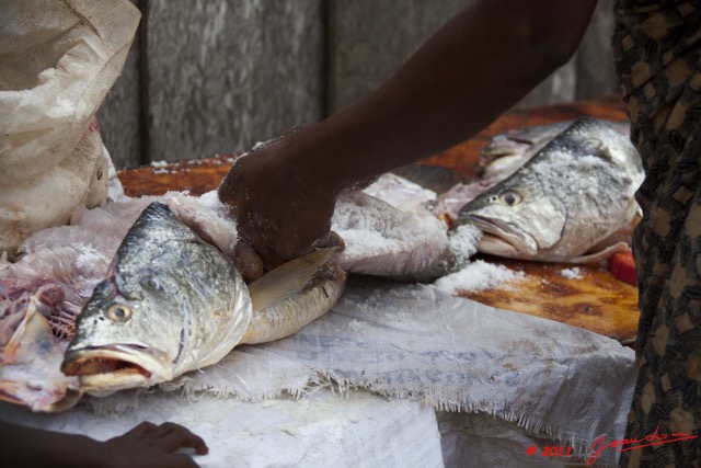 052 AKANDA Ile Assimba Village Pecheurs Salage Poissons 11E5K2IMG_65506wtmk.jpg