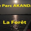 104 Titre Photos Akanda la Foret-01.jpg