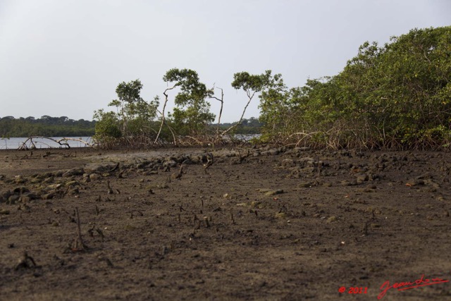 106 AKANDA Lodge Mangrove 11E5K2IMG_65563wtmk.jpg