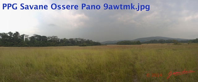 026 PPG Savane Ossere Pano 9awtmk.jpg