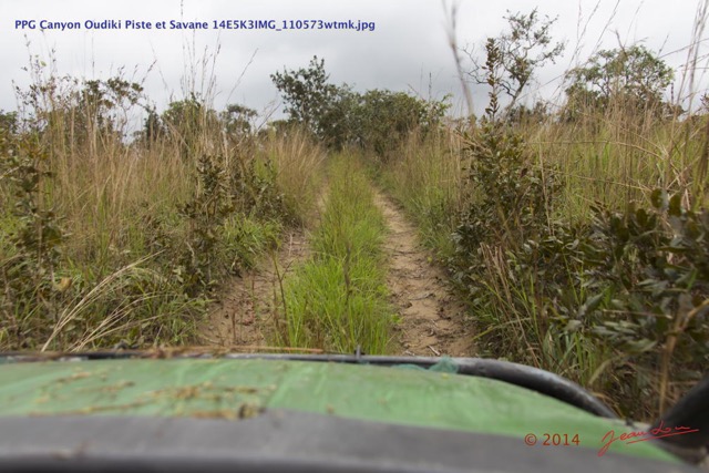 010 PPG Canyon Oudiki Piste et Savane 14E5K3IMG_110573wtmk.jpg