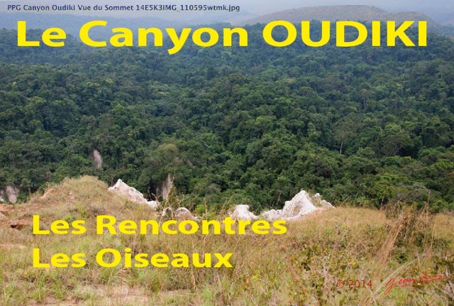 040 Titre Photo Canyon Oudiki Rencontres Oiseaux-01.jpg