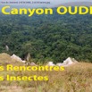 051 Titre Photo Canyon Oudiki Rencontre les Insectes-01.jpg