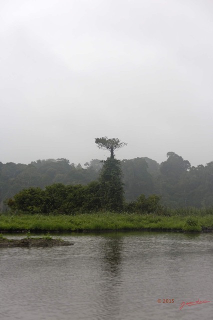 019 LOANGO 2 Akaka Riviere Rembo Ngove Sud le Matin Brume Berge et Arbre 15E5K3IMG_107175wtmk.jpg