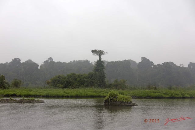 020 LOANGO 2 Akaka Riviere Rembo Ngove Sud le Matin Brume Berge et Arbre 15E5K3IMG_107176wtmk.jpg