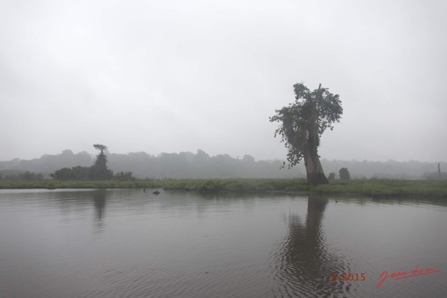 022 LOANGO 2 Akaka Riviere Rembo Ngove Sud le Matin Brume Berge et Arbre 15E5K3IMG_107180wtmk.jpg