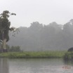 031 LOANGO 2 Akaka Riviere Rembo Ngove Sud Mammalia Proboscidea Elephant Loxodonta africana cyclotis 15E5K3IMG_107207wtmk.jpg