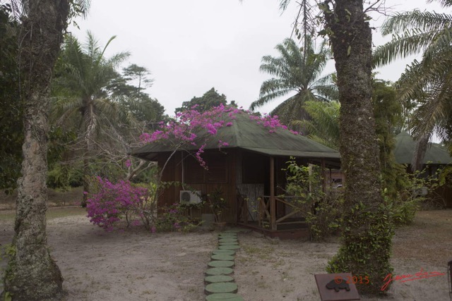 028 LOANGO 2 le Lodge Bungalow et Bougainvillee 15E5K3IMG_105987wtmk.jpg