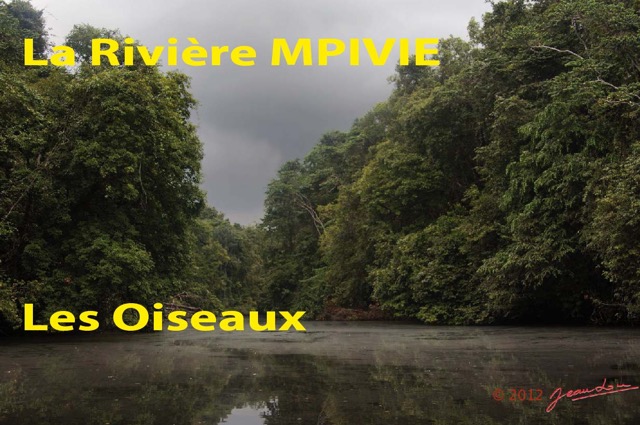 017 Titre Photos Mpivie les Oiseaux-01.jpg