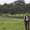 044 LOANGO Inyoungou Prairie avec Troupeau Elephants et Buffles et JLA 12E5K2IMG_79024wtmk.jpg