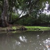 066 LOANGO Inyoungou Riviere Foret et Eau Boueuse 12E5K2IMG_79064wtmk.jpg