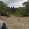 115 LOANGO Inyoungou Ancien Campement 12E5K2IMG_79155wtmk.jpg