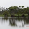 162 LOANGO Inyoungou Riviere Berge et Foret 12E5K2IMG_79301wtmk.jpg