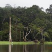 164 LOANGO Inyoungou Riviere Berge Foret et Marecage 12E5K2IMG_79307wtmk.jpg