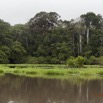 171 LOANGO Inyoungou Riviere Berge Foret et Marecage 12E5K2IMG_79316wtmk.jpg