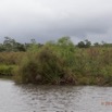 175 LOANGO Inyoungou Riviere Berge et Papyrus 12E5K2IMG_79328wtmk.jpg