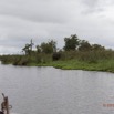 186 LOANGO Inyoungou Riviere Berge avec Elephant dans les Papyrus 12E5K2IMG_79358wtmk.jpg
