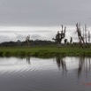 188 LOANGO Inyoungou Riviere Berge Foret et Marecage 12E5K2IMG_79362wtmk.jpg