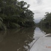 194 LOANGO Inyoungou Riviere Berge et Palmiers Raphia 12E5K2IMG_79396wtmk.jpg