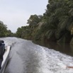 195 LOANGO Inyoungou Riviere Descente en Pirogue 12E5K2IMG_79397wtmk.jpg