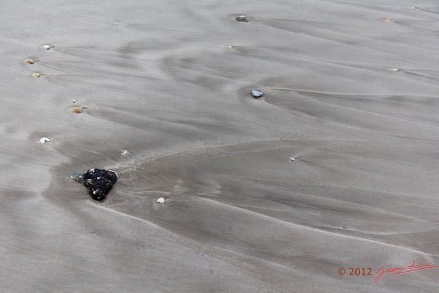 039 LOANGO ENAMINO Plage et Coquillage 12E5K2IMG_77040wtmk.jpg