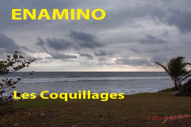 068 Titre Photos Enamino Coquillages-01.jpg