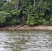 007 LOANGO Fleuve Ogooue Berge en Basses-Eaux 12E5K2IMG_76741wtmk.jpg