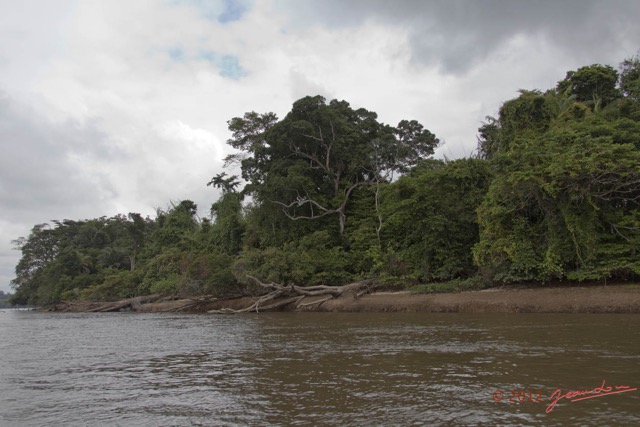 010 LOANGO Fleuve Ogooue Berge avec Troncs Arbres Morts 12E5K2IMG_76747wtmk.jpg