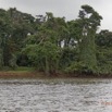 043 LOANGO Fleuve Ogooue Foret et Lianes 12E5K2IMG_76863wtmk.jpg