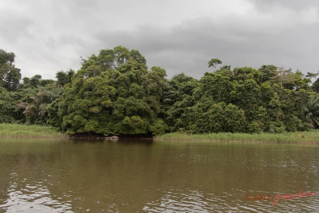 063 LOANGO Fleuve Ogooue Berge et Foret 12E5K2IMG_76916wtmk.jpg