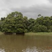 063 LOANGO Fleuve Ogooue Berge et Foret 12E5K2IMG_76916wtmk.jpg