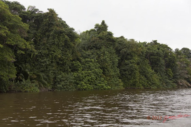 076 LOANGO Fleuve Ogooue Berge et Foret 12E5K2IMG_76946wtmk.jpg