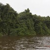 076 LOANGO Fleuve Ogooue Berge et Foret 12E5K2IMG_76946wtmk.jpg