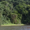 099 LOANGO Fleuve Ogooue Berge Foret et Lianes 12E5K2IMG_79573wtmk.jpg