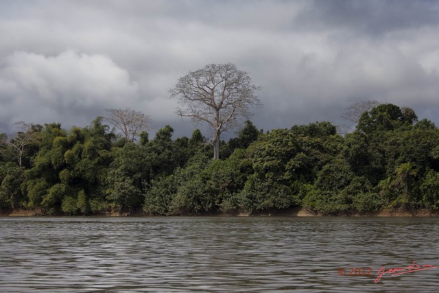 100 LOANGO Fleuve Ogooue Berge Foret et Arbre Solitaire 12E5K2IMG_79575wtmk.jpg