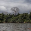 100 LOANGO Fleuve Ogooue Berge Foret et Arbre Solitaire 12E5K2IMG_79575wtmk.jpg