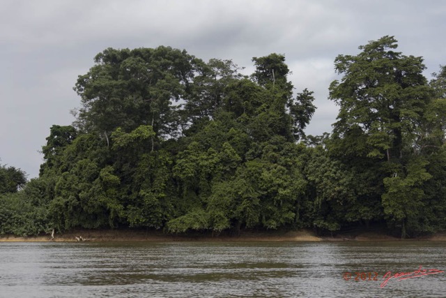 108 LOANGO Fleuve Ogooue Berge et Foret 12E5K2IMG_79593wtmk.jpg