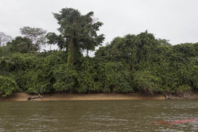 111 LOANGO Fleuve Ogooue Berge et Foret 12E5K2IMG_79615wtmk.jpg