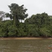 111 LOANGO Fleuve Ogooue Berge et Foret 12E5K2IMG_79615wtmk.jpg