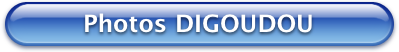 Bouton Bleu Photos DIGOUDOU 399x52