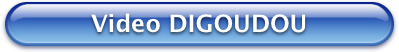 Bouton Bleu Video DIGOUDOU 399x52