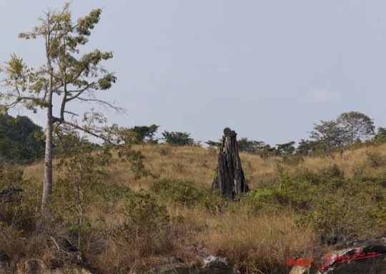 MOUKALABA-2-Digoudou-Colonne-de-Pierreswtmk-Web
