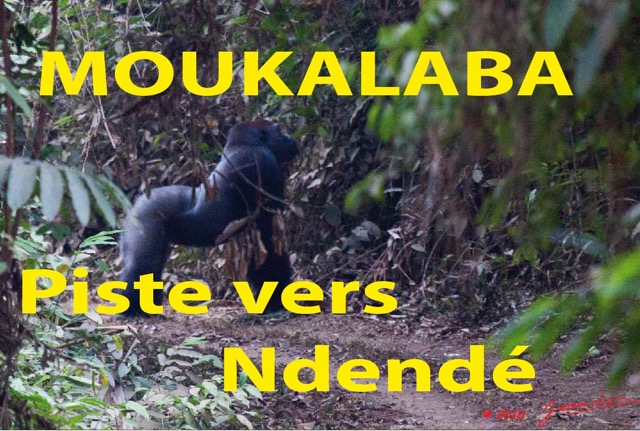 044 Titre Photos Moukalaba Piste vers Ndendé.jpg