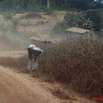 049 MOUKALABA Piste avec Femmes Revenant des Plantations 10E5K2IMG_63193wtmk.jpg
