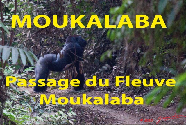087 Titre Photos Moukalaba Passage du Fleuve.jpg