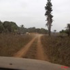 110 MOUKALABA Piste vers Mourindi 10E5K2IMG_63509wtmk.jpg