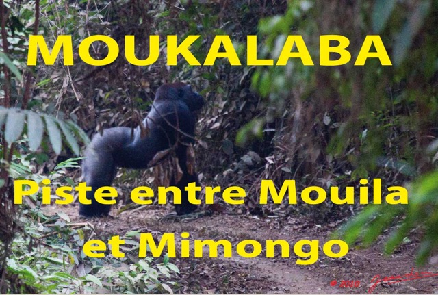 124 Titre Photos Moukalaba Piste entre Mouila et Mimongo.jpg